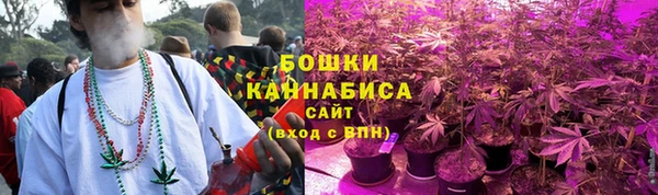 тгк Бронницы